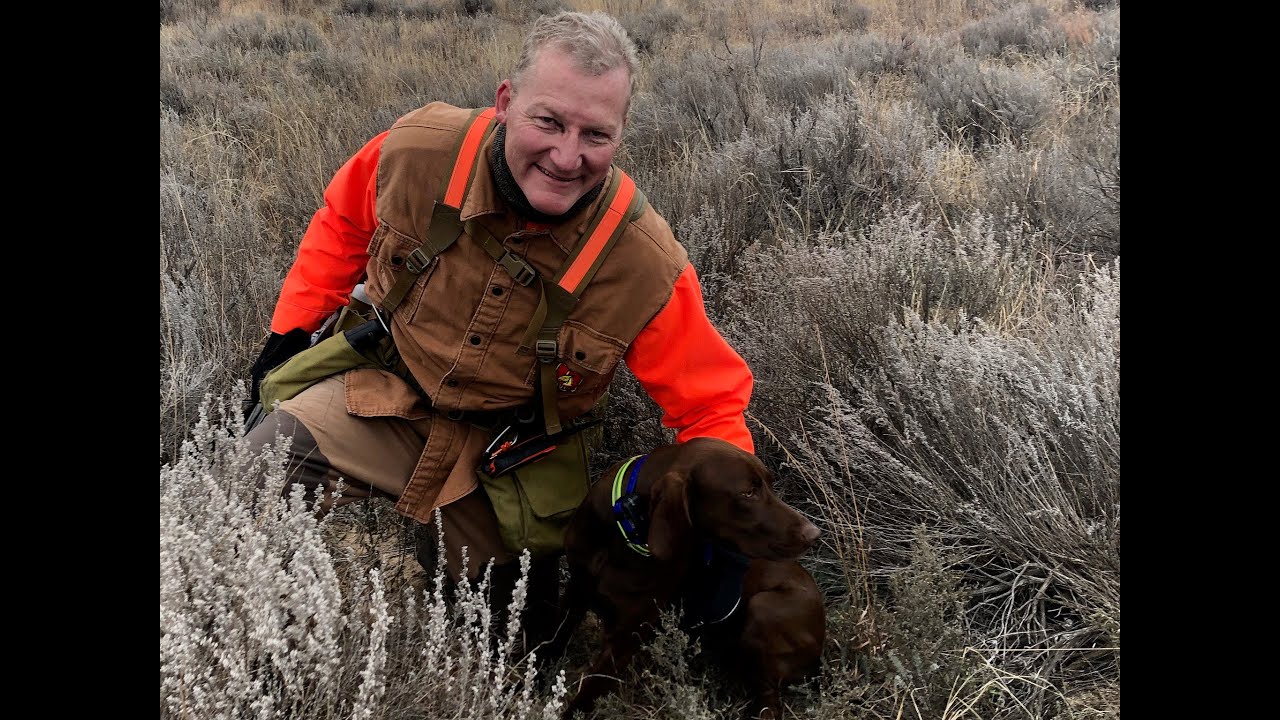 Hunting Oklahoma quail with Jeff Quail Hunting YouTube