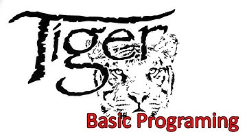 Basic Tiger Programing