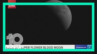 'Blood moon' total lunar eclipse visible in Florida on Sunday night