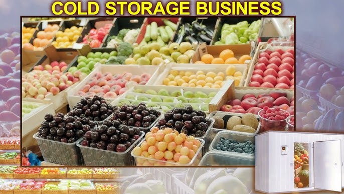 How to Start a Cold Storage Business: Expert Tips