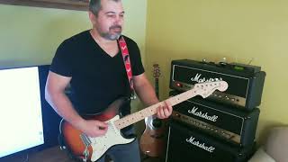 Pink Floyd the wall, cover by Ventsislav Dosev Bulgaria