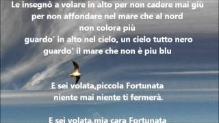 Video-Miniaturansicht von „FORTUNATA - MARINA REI - La gabbianella e il gatto“