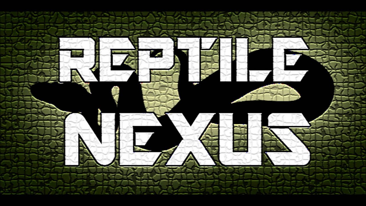 ball pythons together Intro option 2: Rock