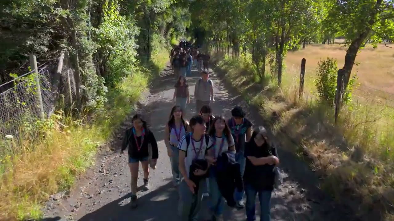 2026 Avanzada en caminata, Pucón