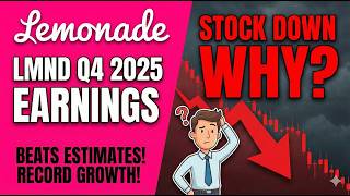 Lemonade Their Best Quarter Ever So Why Stock Is It Falling Lmnd Q4 2025