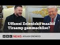 Dhimmi uffannaa Zeleniskii maaliif ijoo dubbii ta'e? | BBC News Afaan Oromoo