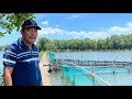 MGA SEKRETO pano KUMITA ng MALAKI sa BANGUS CULTURE (Pond prep, stocking to harvest)