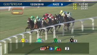 Gulfstream Park December 29, 2018 Race 9