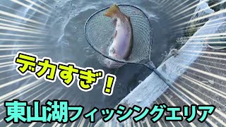 東山湖FAで特大サイズを連発させるヤーツ【管理釣り場】【エリアトラウト】