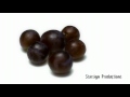 Grapes to rasins a time lapse project