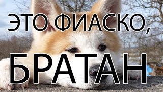 ЭТО ФИАСКО, БРАТАН