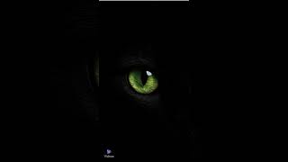 Dark Side - Escalating Commitment