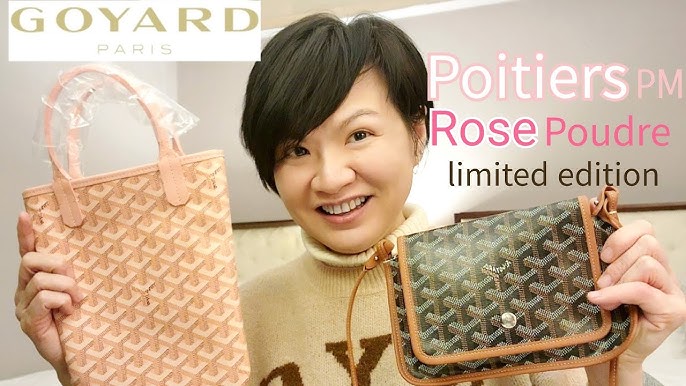 Goyard Poitiers Claire-Voie Bag