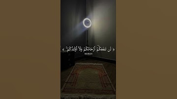 ارح سمعك ❤️ #قران_كريم #اكسبلور #اكتب_شي_تؤجر_عليه #سورة_الممتحنة #القارئ #ياسر_الدوسري