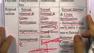 ormBio 023 : อนุกรมวิธาน (Taxonomy) ,ตอน05