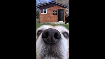 Former Research Animals Have a Soft Place to Land