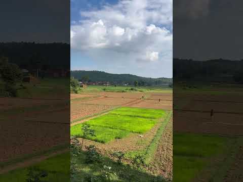 Pyar me jahan se rakha hai✈️ #youtube # #shortsviral #love #shorts #yputuber