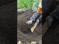 大根栽培はコレ!高畝の作り方を解説 #shorts /Tips for making high ridges of radish.