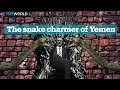 The snake charmer of yemen  ali abdullah saleh