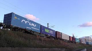 【JR貨物】2054レ EH500-65 元YOKOHAHAコンテナ積載