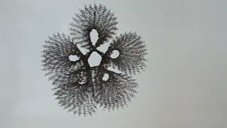 Ruth Asawa Retrospective SFMOMA