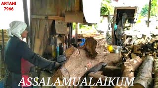 BERCABANG CABANG KAYUNYA!!SEMA TERUS KAWAN