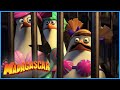 DreamWorks Madagascar | Take This Shame To Our Graves | Penguins of Madagascar Clip