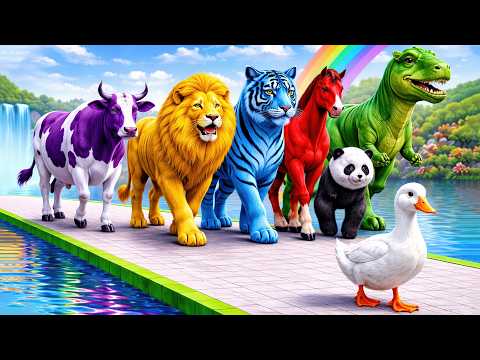 Long Slide Game with Dinosaur Lion Cow Hippopotamus Gorilla 3d Animal Game Funny 3d Animals