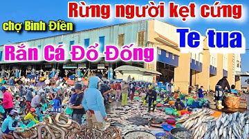 Chợ Bình Điền sáng nay "Rắn Cá Đổ Đống" rừng người kẹt cứng chen lấn mua hải sản