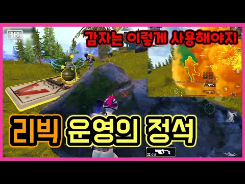 [밍뷰Tube] 모바일 배그_리빅 운영법 모배의 정석
