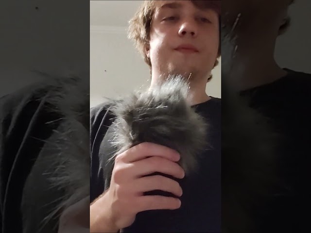 【ASMR】明日公開の動画から切り出したショート版 Part2