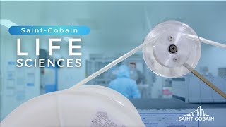 Business Overview Saint-Gobain Life Sciences