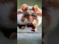 Biggest Real Farts #funny #comedy #viral #lol #comedyflix #farts