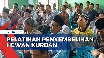 Pelatihan Penyembelihan Hewan Kurban Jelang Idul Adha 2024