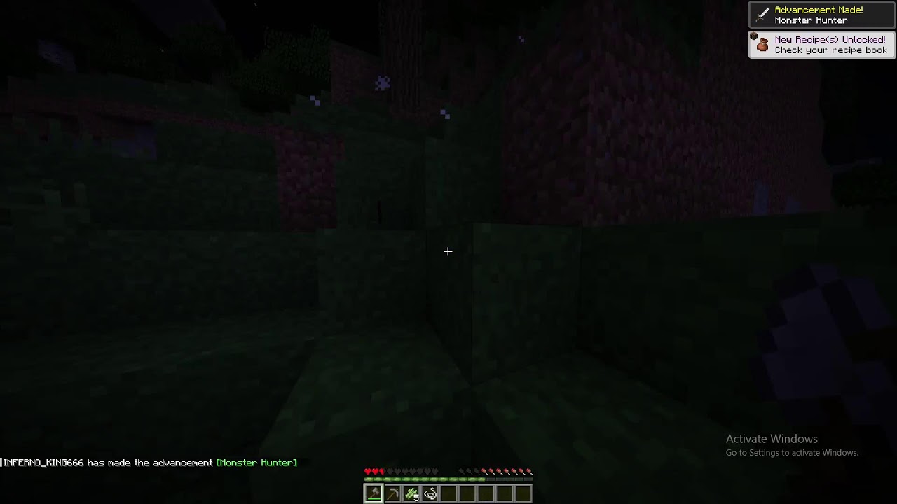 HAVE SOME FUN WITH MINECRAFT