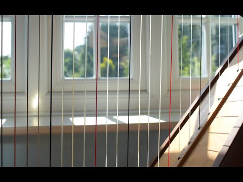 Goodnight & Goodbye - Mree (Harp and Violin Cover)