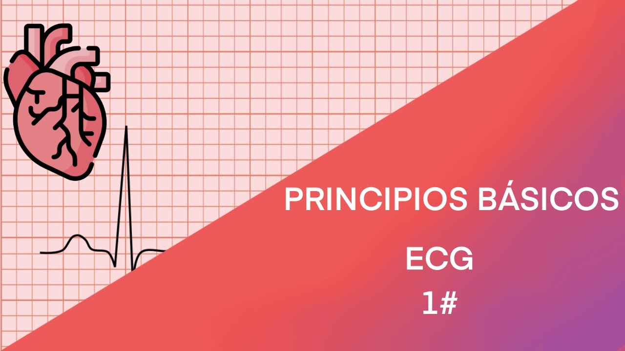 PRINCIPIOS BASICOS DEL ECG
