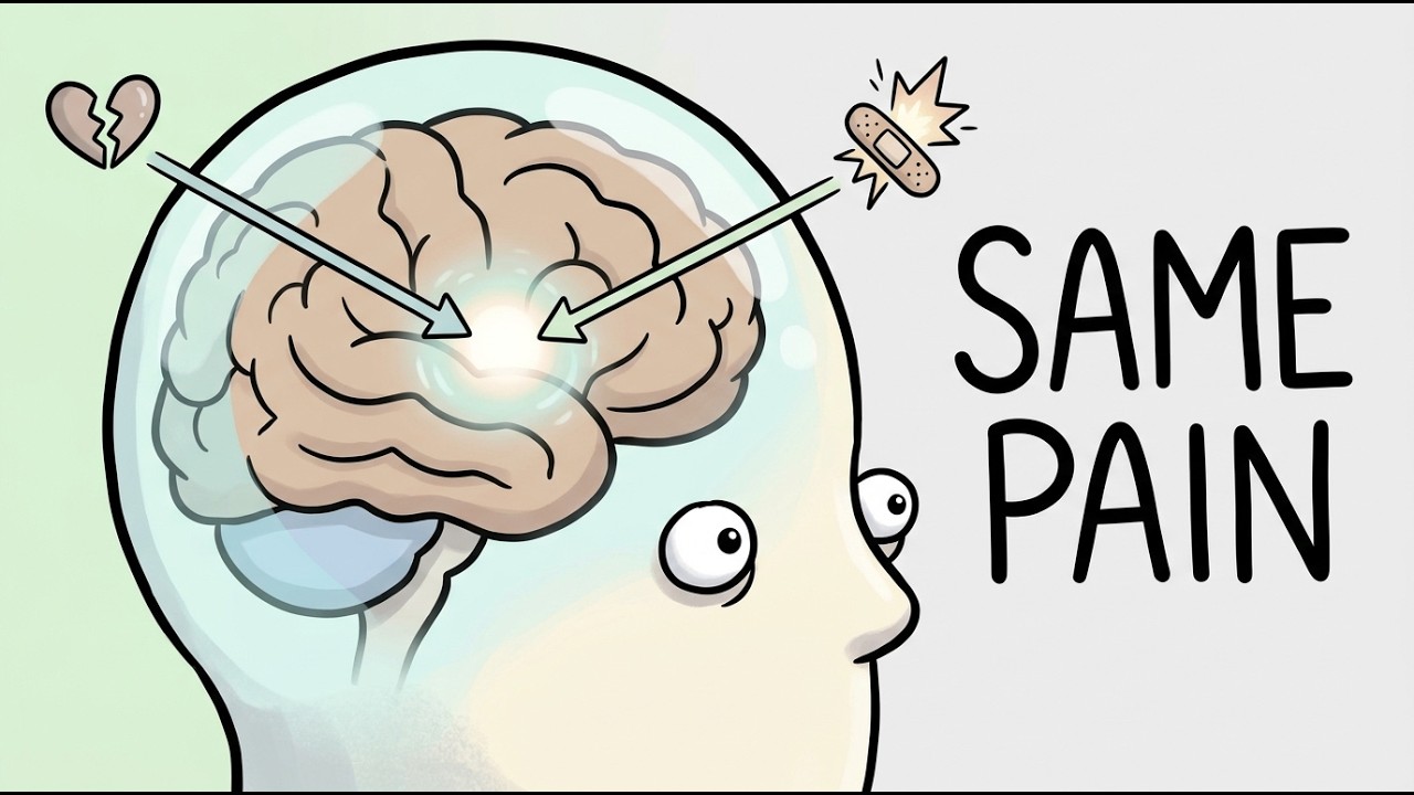 The Evolutionary Origin of Social Pain