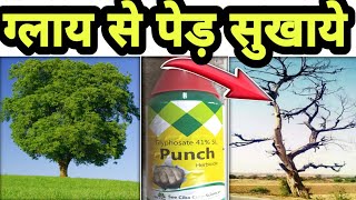 पेड़ सुखाने का तरीका | ग्लाइफोसेट से पेड़ सुखाये | Ped sukhane ka aasan tarika