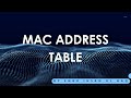 Ethernet MAC Address Explained | Networking Basics for Beginners