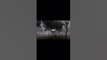 القارئ:علي جابر/سورة الحشر