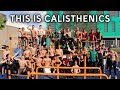 Why Calisthenics Brings People Together... |  BARJAM SUMMER 2018