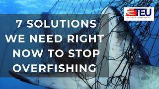 7 SOLUTIONS WE NEED RIGHT NOW TO STOP OVERFISHING I Ocean life protection I overfishing