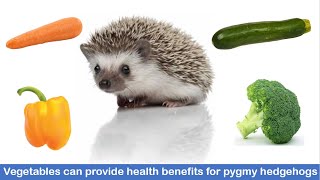 Hedgehog diet - Vegetables