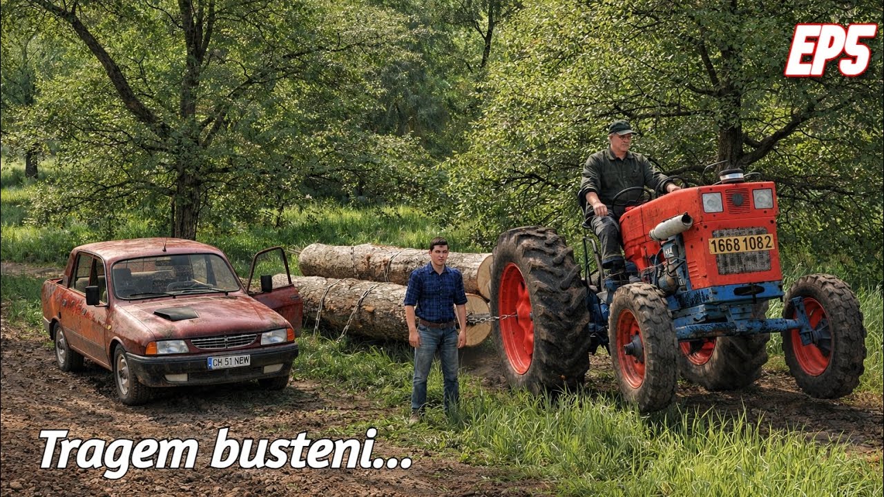 Babadag Roleplay Multiplayer///AM FOST LA PĂDURE CU CUMNATU’ ȘI NEPOTU’///Ep5///Farming Simulator 19