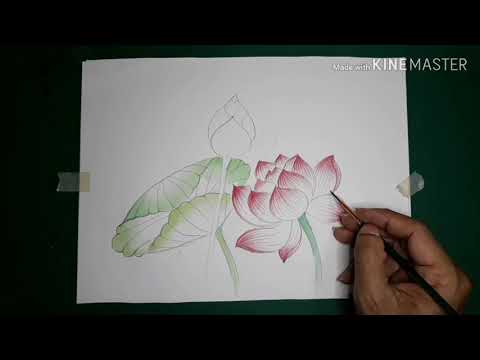 สอนวาดระบายสีรูปดอกบัวแบบง่ายๆโดยครูโย่กับน้องปันปันน้กพากย์ตัวน้อย