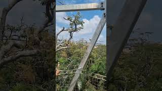 WISH MAKING TOWER 22.5M(73FT) TO THE GRAND
