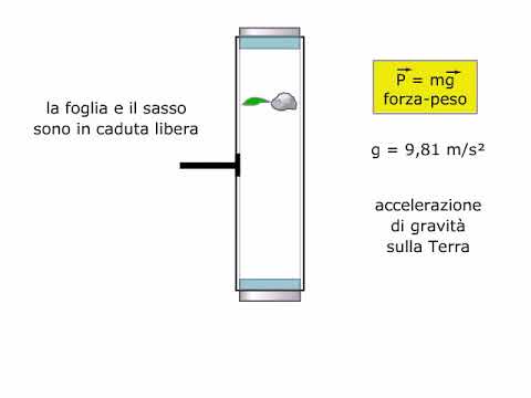 TEORIA La forza peso e la caduta libera AMALDI ZANICHELLI YouTube