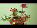 Cách Làm Bonsai Hoa Mười Giờ Dáng Rồng Cực Đẹp Ai Cũng Làm Được