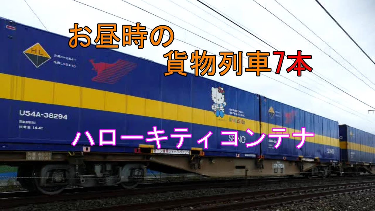 西濃 運輸 コンテナ キティ す ん様 U54A-38294 コンテナ 仙台臨海鉄道